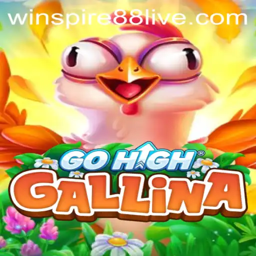 Exploring the Innovative World of GoHighGallina